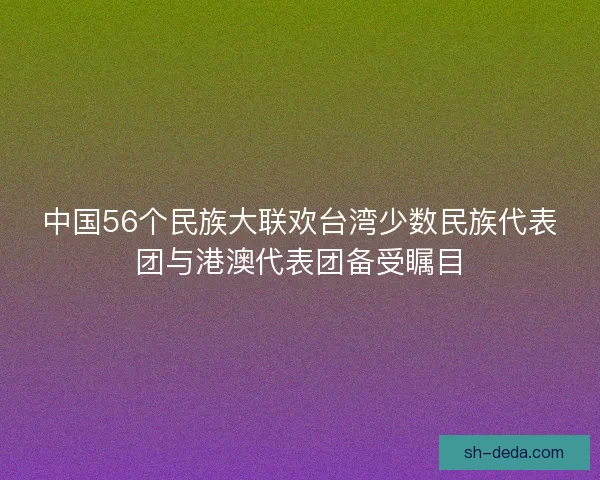中国56个民族大联欢台湾少数民族代表团与港澳代表团备受瞩目
