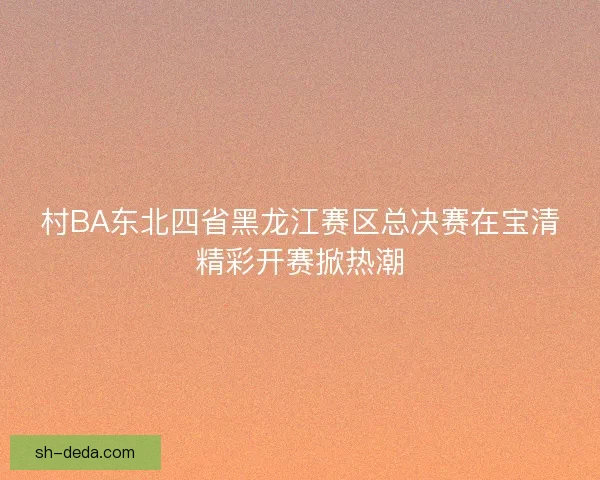 村BA东北四省黑龙江赛区总决赛在宝清精彩开赛掀热潮