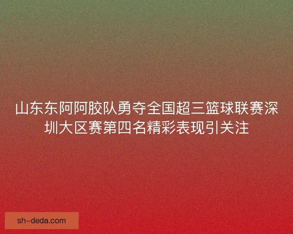 山东东阿阿胶队勇夺全国超三篮球联赛深圳大区赛第四名精彩表现引关注 山东东阿阿胶队勇夺全国超三篮球联赛深圳大区赛第四名精彩表现引关注